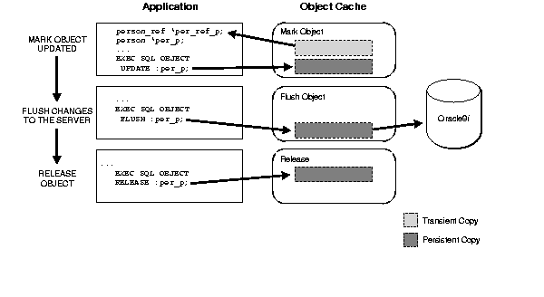 Navigational Access (continued)