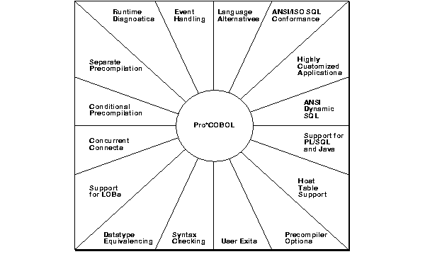 Pro*COBOL Features