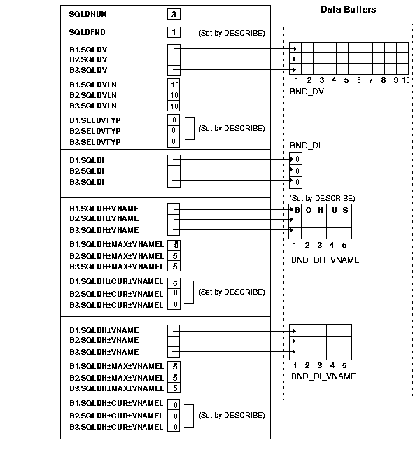 bind descriptor after the DESCRIBE