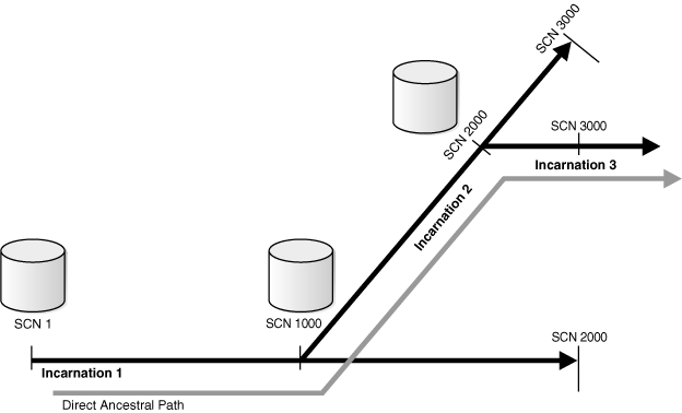 Diagram showing the incarnation history of a database