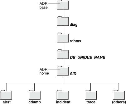 Description of Figure 9-2 follows