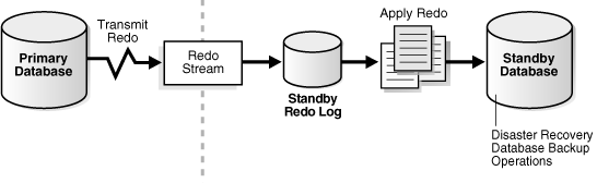 Description of Figure 1-1 follows