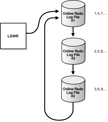 Description of Figure 11-6 follows