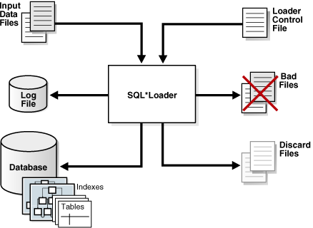 Description of Figure 18-1 follows